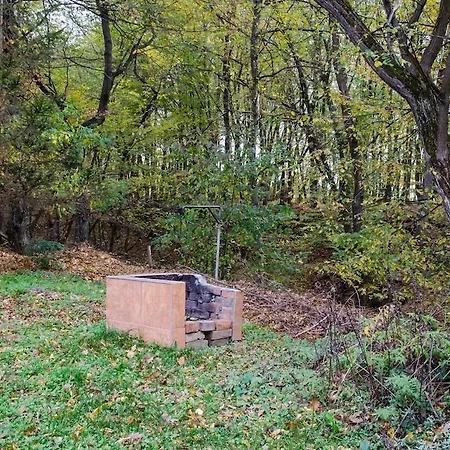 Nyaraló Vadasa Nyaralo Hegyhátszentjakab